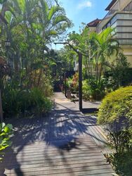 Lornie Road (D11), Terrace #453975491